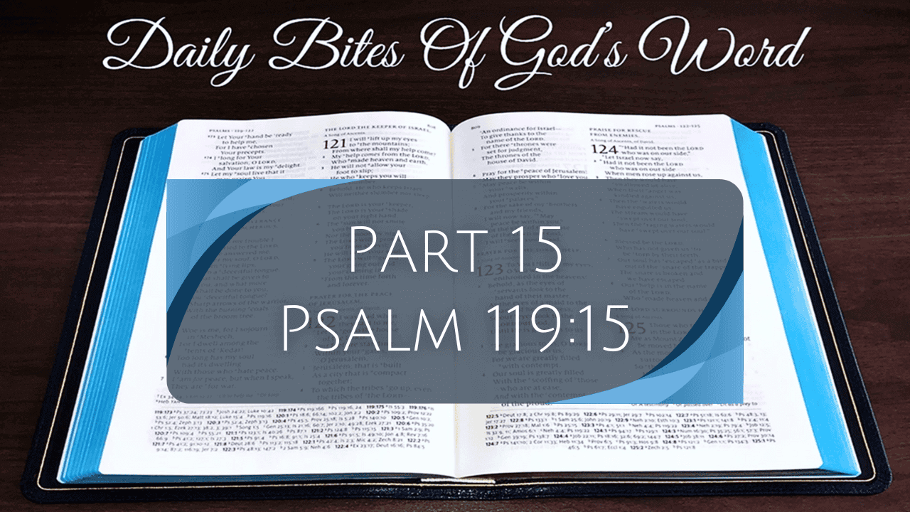Daily Bites Of God's Word - Part 15 - Psalm 119:15